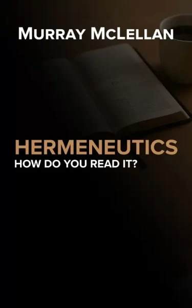 Book cover for Hermeneutics