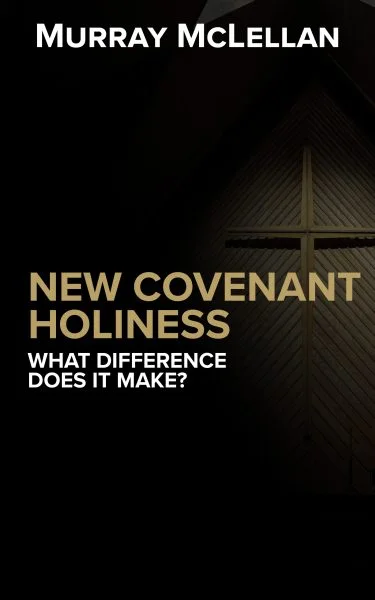 Book cover for New Covenant Holiness