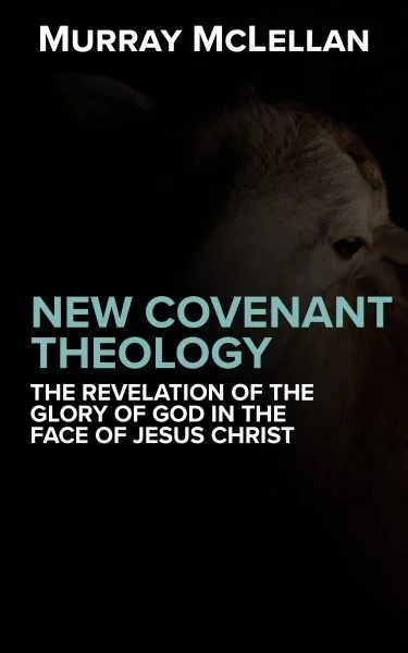 Book cover for New Covenant Theology