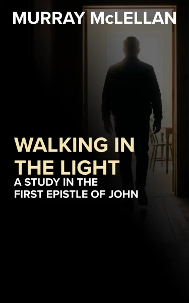 Book cover for Walking in the Light